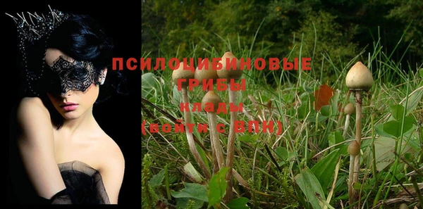 герыч Яровое