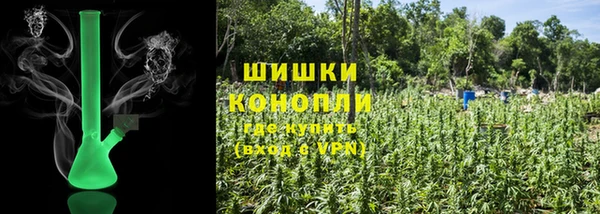 мдпв Яранск