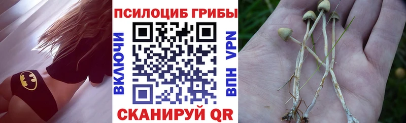 Галлюциногенные грибы мицелий  Купить закладки  Томари 